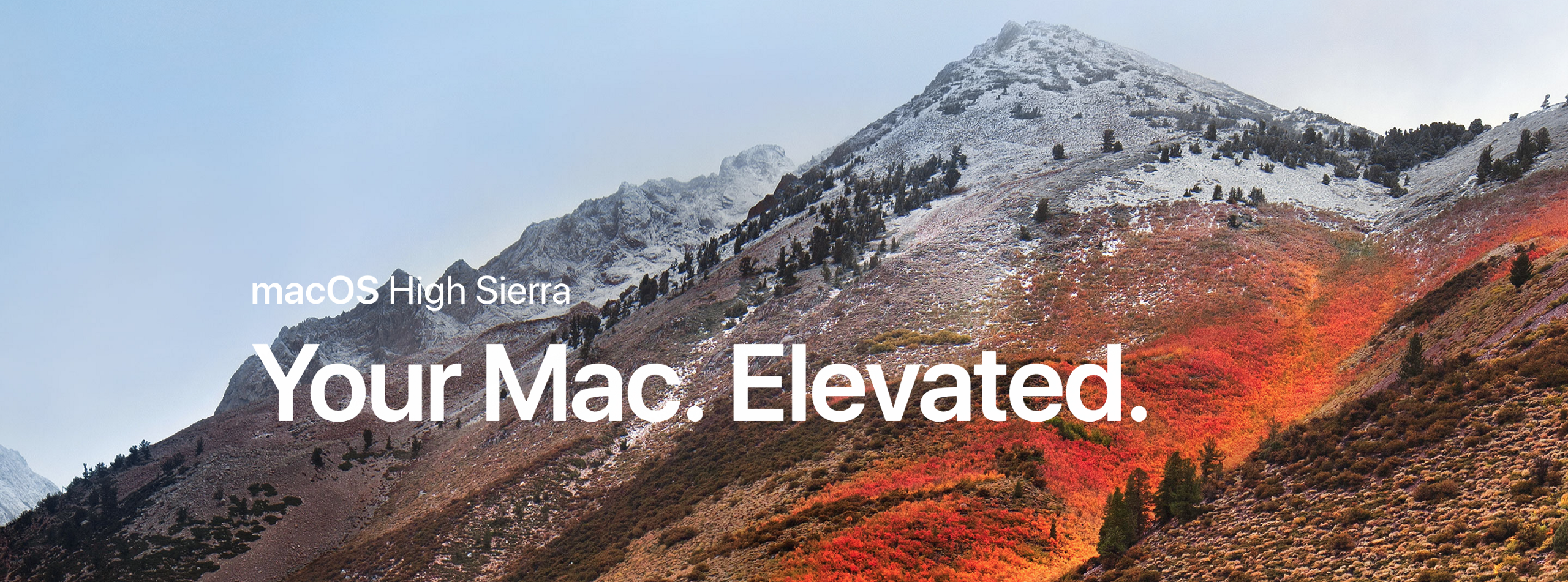 Bypass macOS Rootless by Sandboxing
